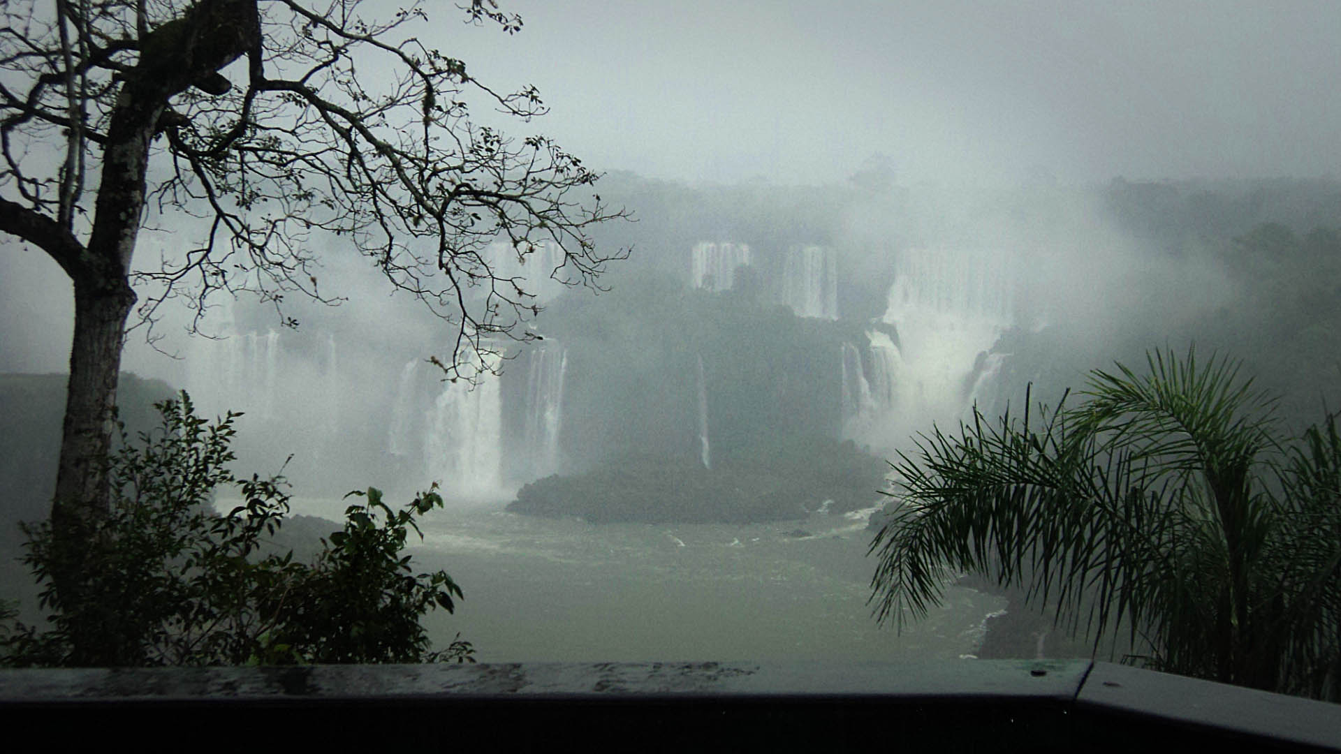 Silvina-Spravkin-Sculptor-Iguazu-panorama